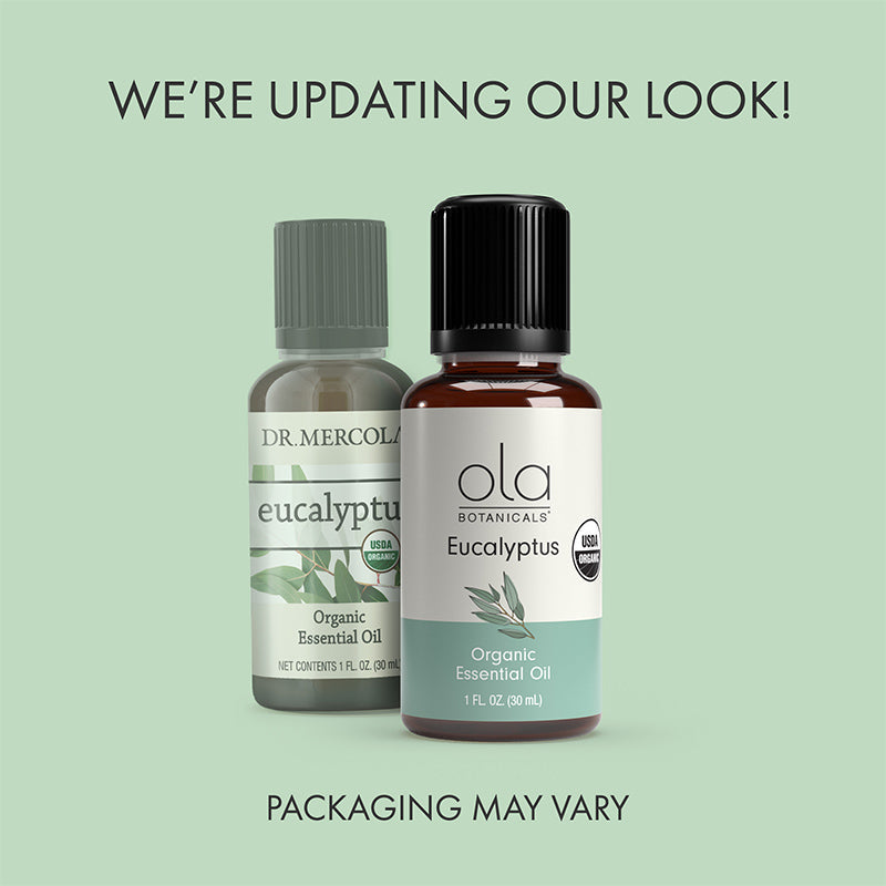 Ola Botanicals Organic Eucalyptus Essential Oil - Elevate Your Senses with Ola Botanicals® Organic Eucalyptus Essential Oil: Nature's Renewal for Mind and Body!