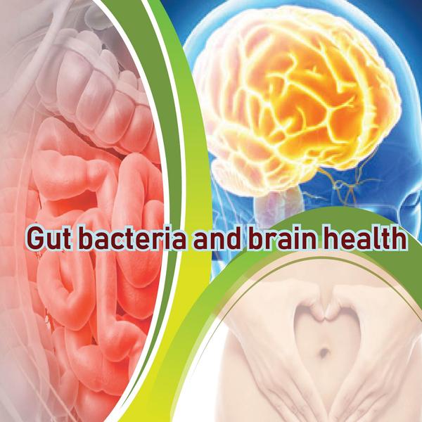 Gut bacteria and brain health