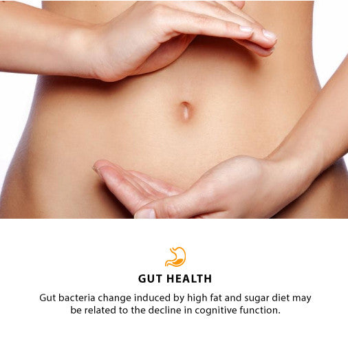 Gut bacteria and gut health