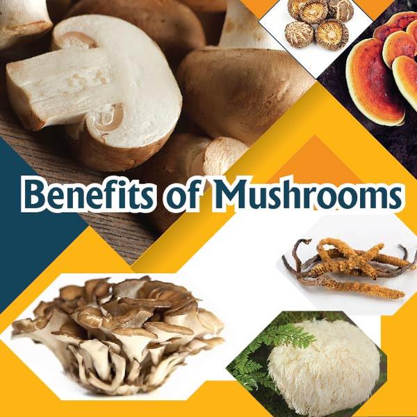 Benefits of Mushrooms