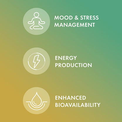 Vitamin B Complex - Shop at BiosenseClinic.com - Vitamin B Complex: Unleash the Power of Balanced, Bioavailable B Vitamins for Optimal Health!