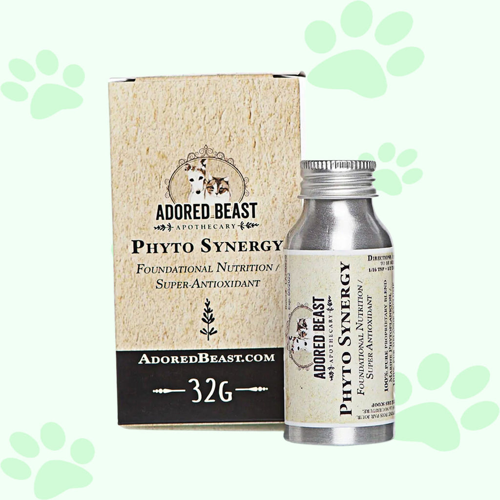 Adored Beast Phyto Synergy | Super Antioxidant 32g - biosenseclinic.com