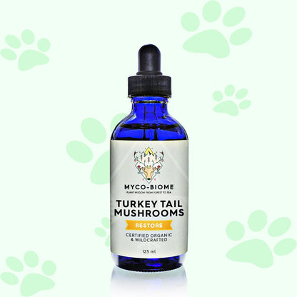 Adored Beast Turkey Tail Mushrooms | Liquid Triple Extract 125 ml - biosense-clinic.com