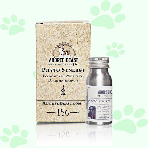 Adored Beast Phyto Synergy | Super Antioxidant 15g - biosenseclinic.com