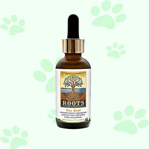 Adored Beast The Wolf | Species Appropriate Probiotic - biosense-clinic.com